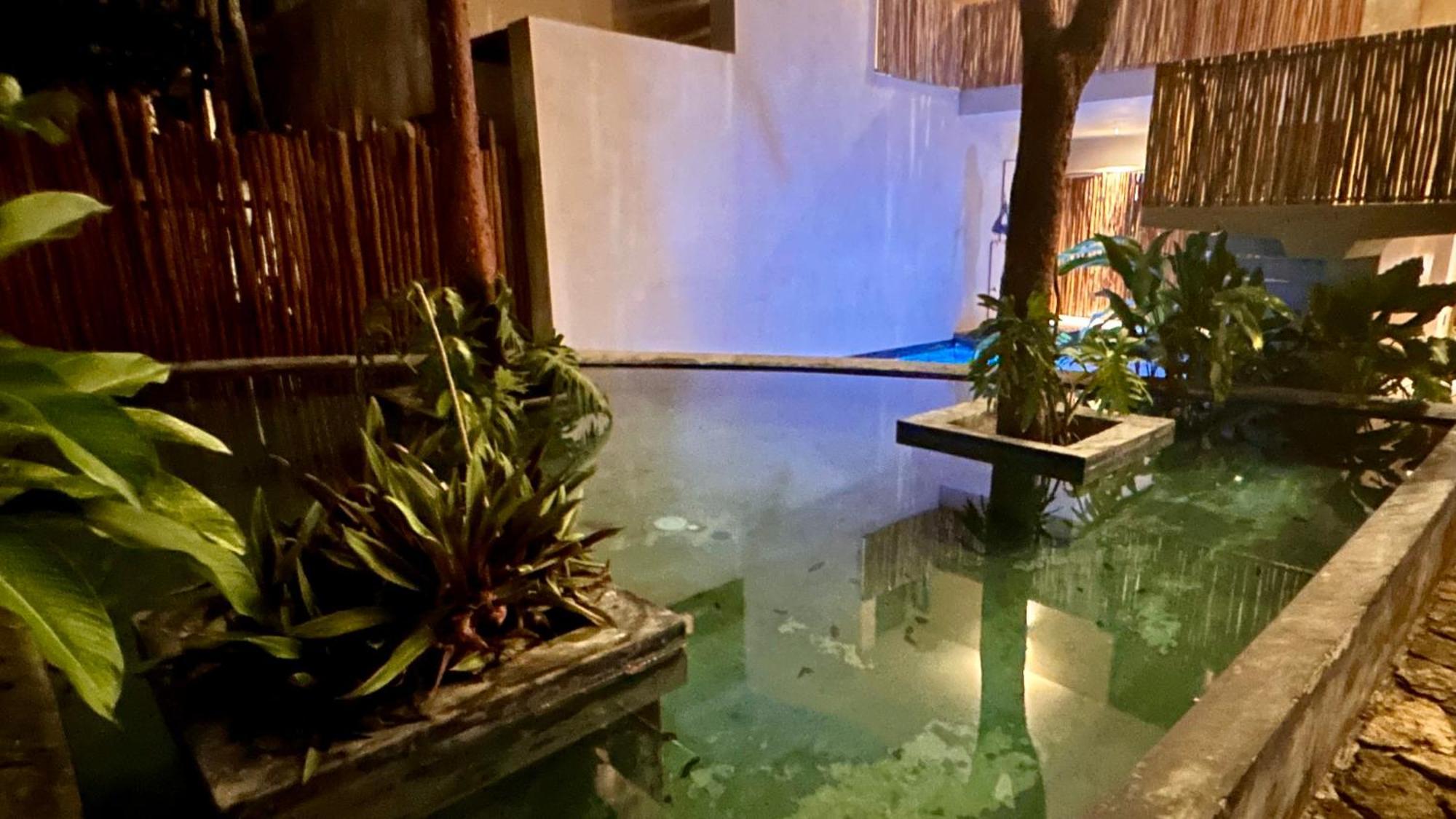 טולום Condohotel Tsonot, En Luum Zama מראה חיצוני תמונה